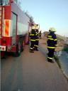 2010.04.11.Foto mobilem 207.jpg